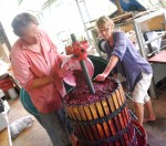 Crushing wine grapes